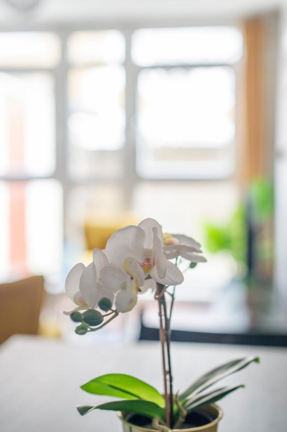 Lovely 2-Bed 20 Mins To Central Londres Exterior foto
